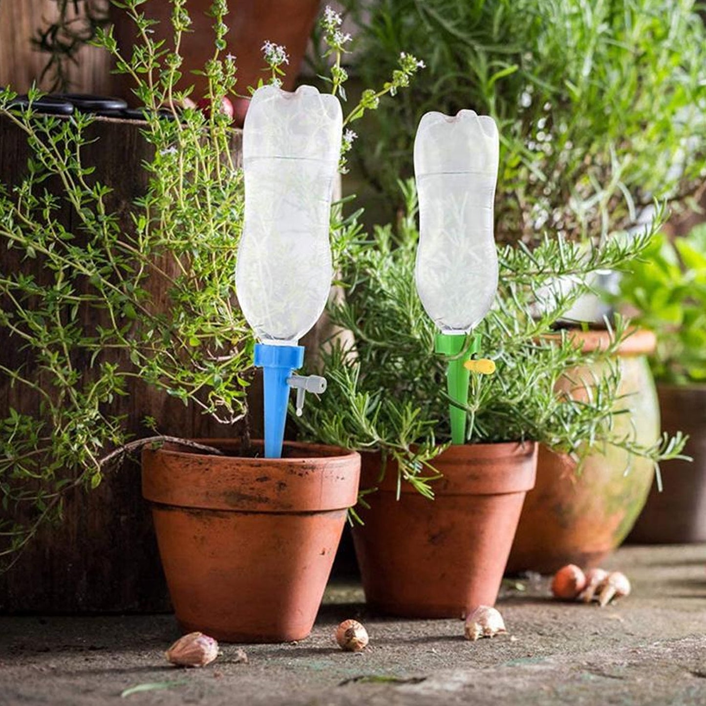 Watering Spikes (Pack of 10)