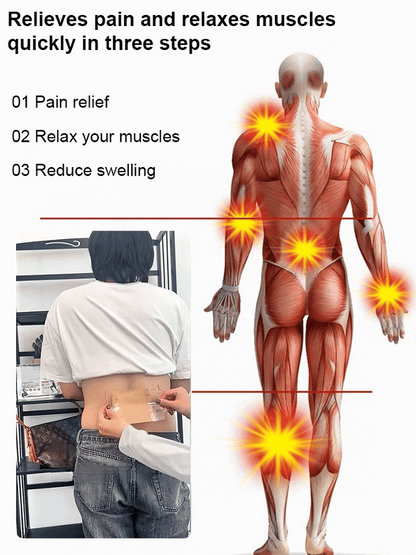 Ginger Pain Patches – Natural Heat Therapy for Pain & Stiffness| Pack of 20